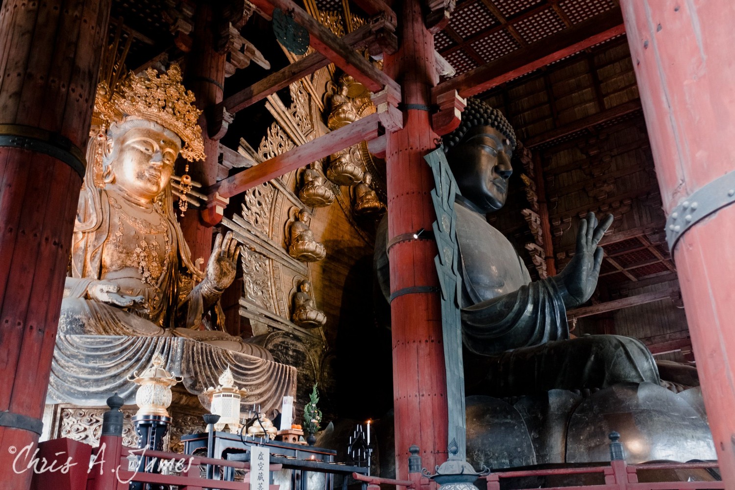 Nara - Chris A James