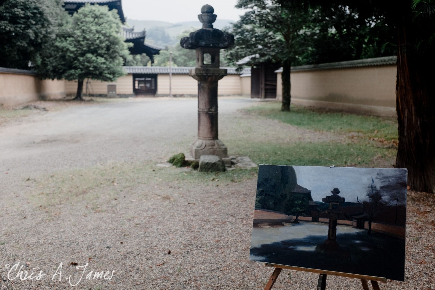 Nara - Chris A James