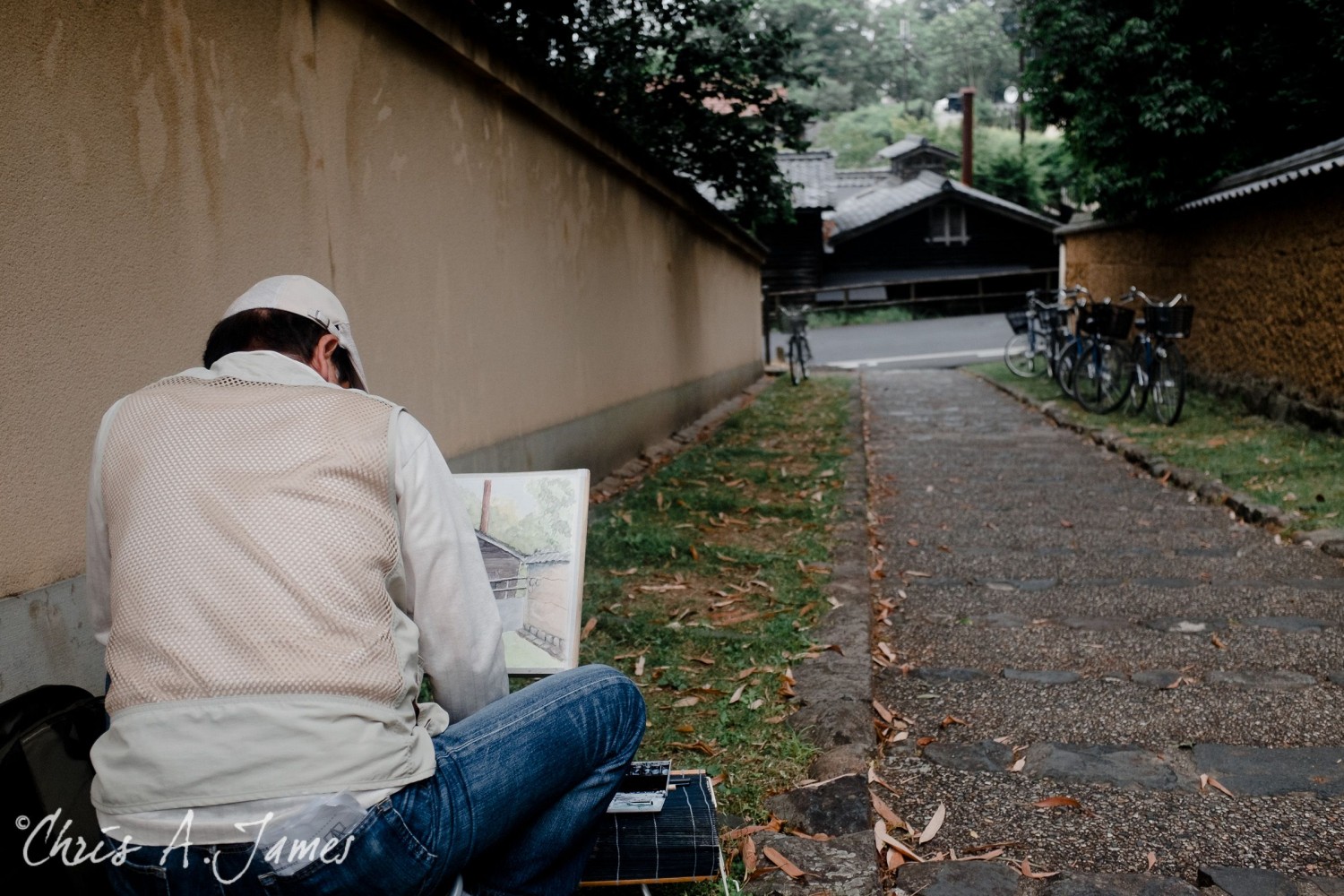 Nara - Chris A James