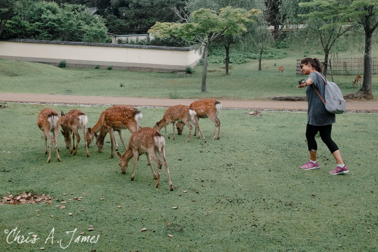 Nara - Chris A James