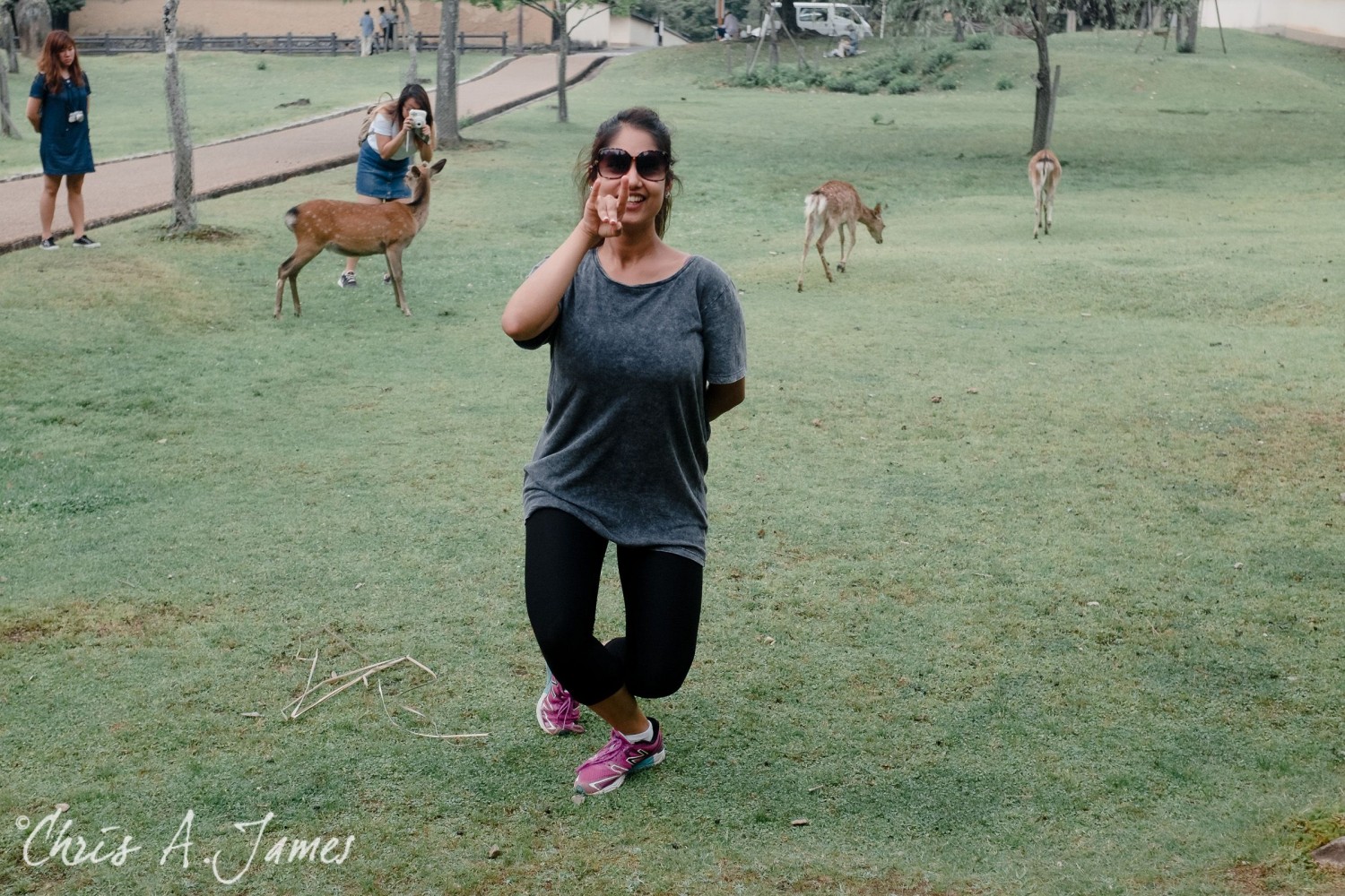 Nara - Chris A James