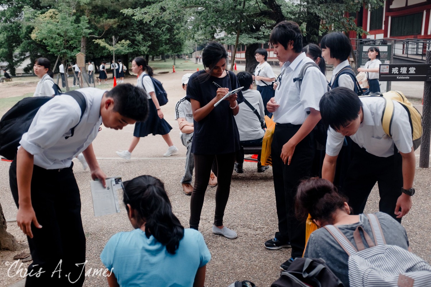 Nara - Chris A James