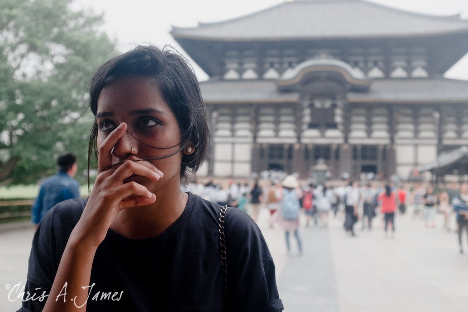 Nara - Chris A James