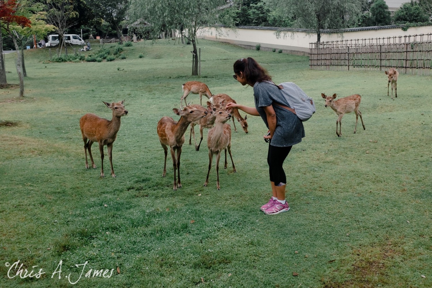 Nara - Chris A James