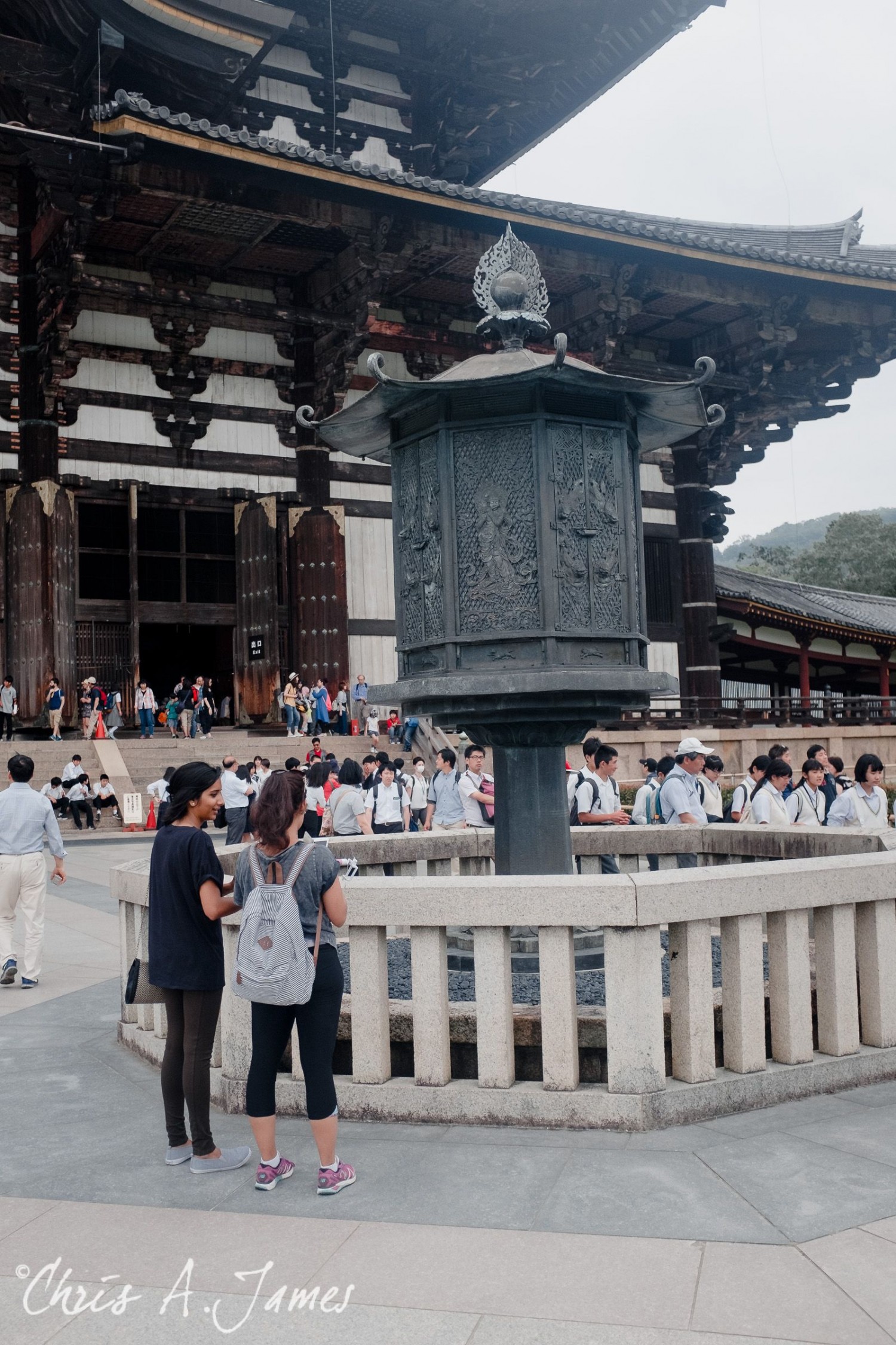 Nara - Chris A James