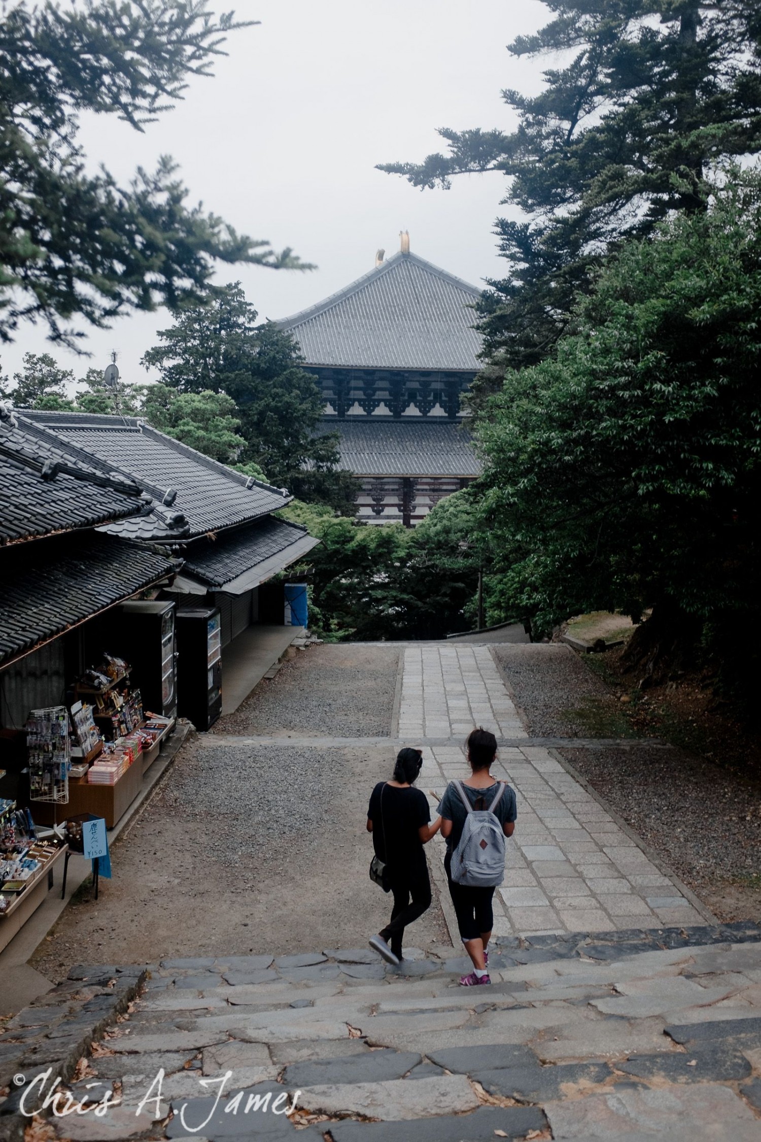 Nara - Chris A James