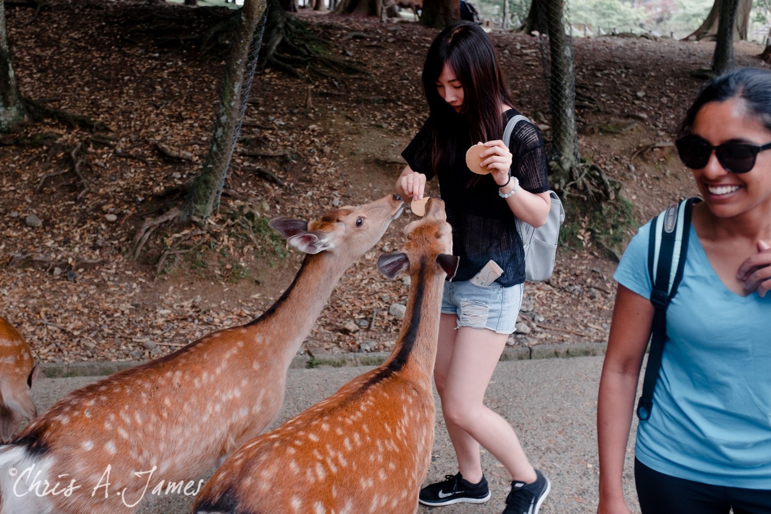 Nara - Chris A James