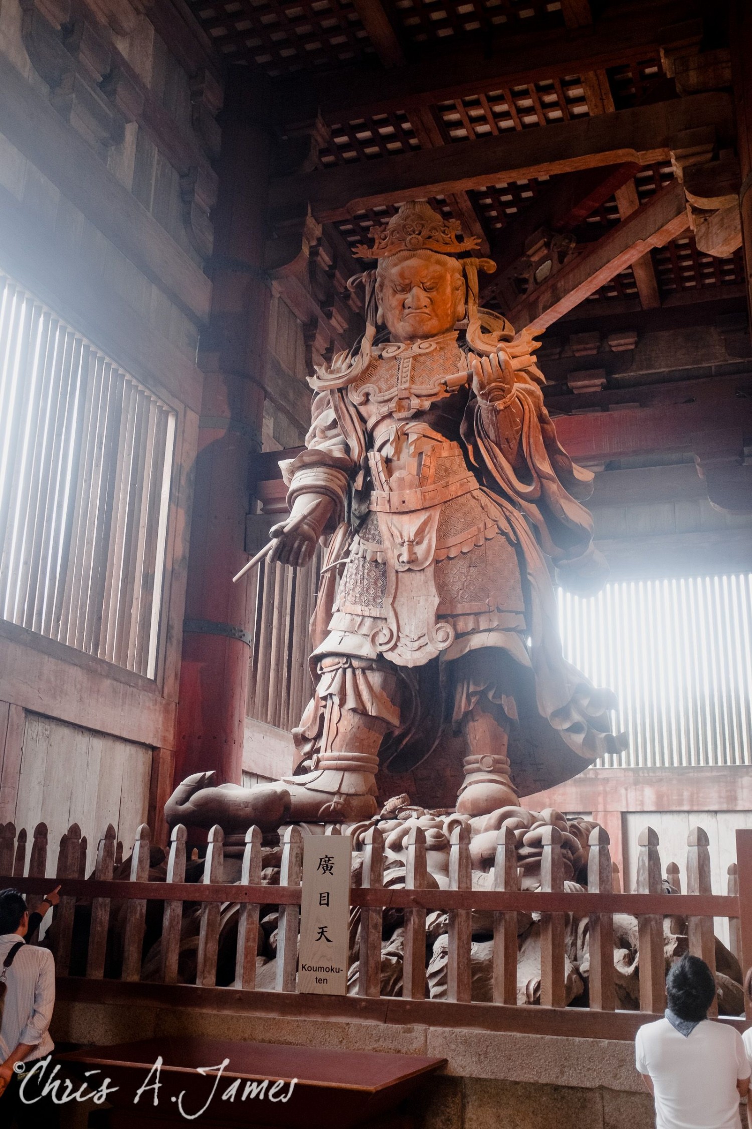 Nara - Chris A James