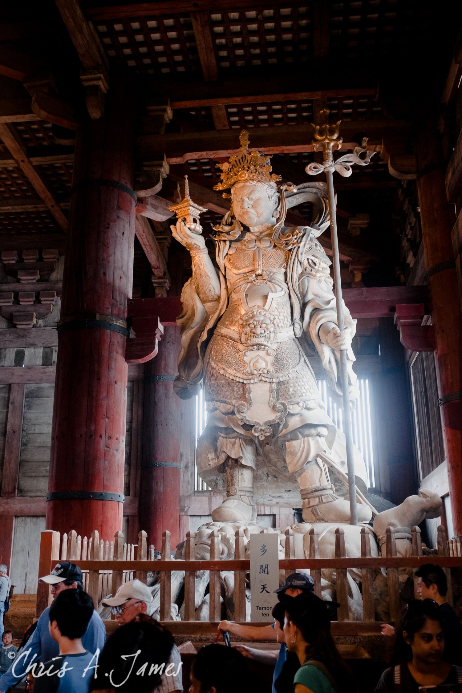 Nara - Chris A James