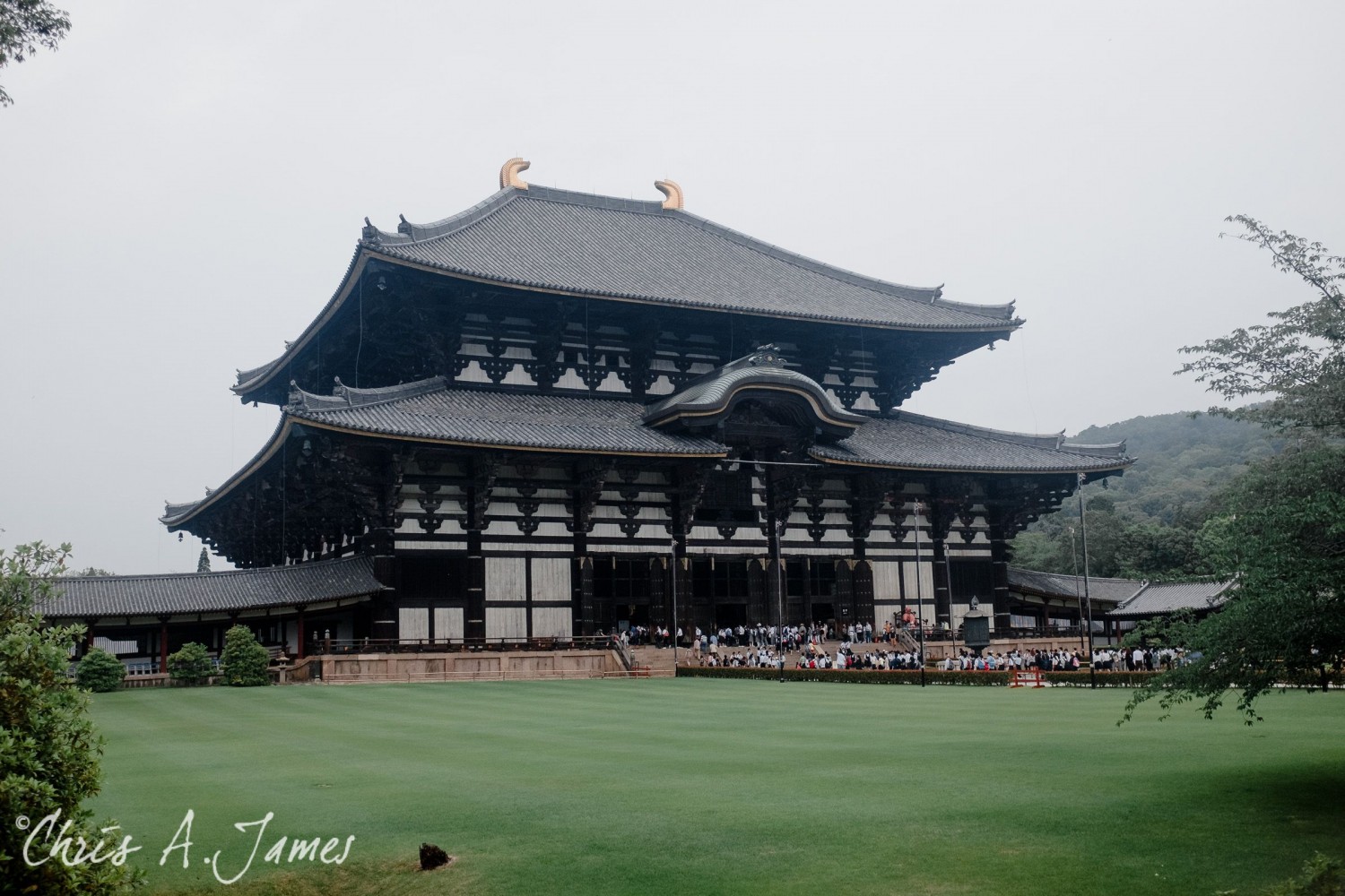 Nara - Chris A James