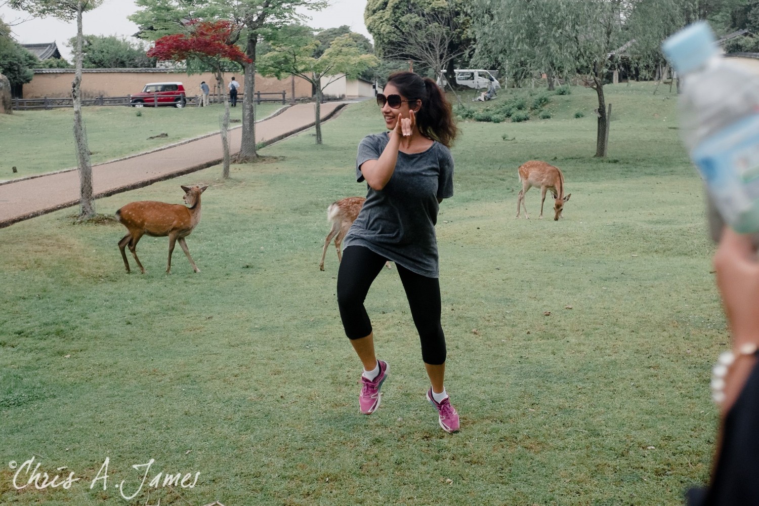 Nara - Chris A James