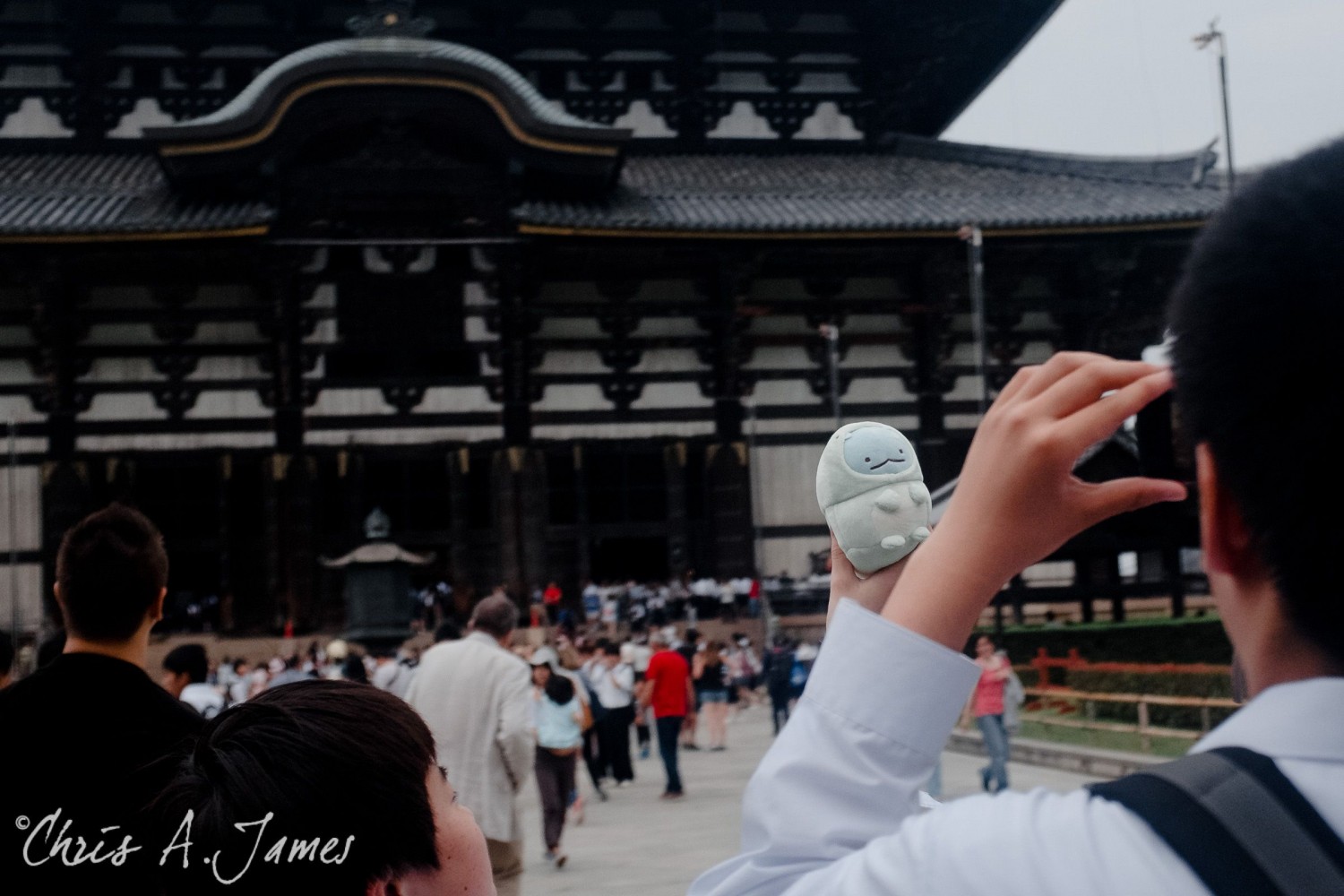 Nara - Chris A James