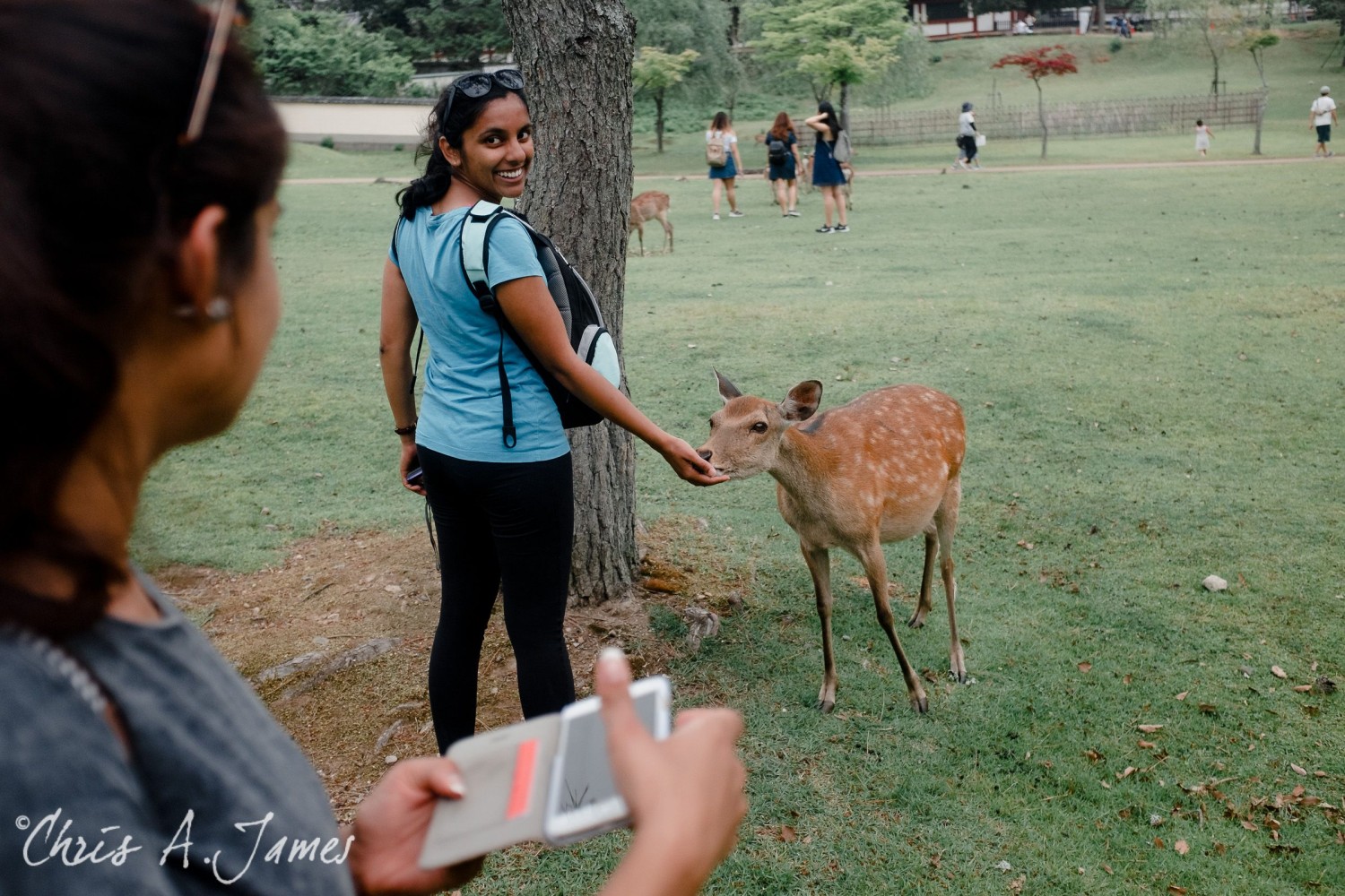 Nara - Chris A James