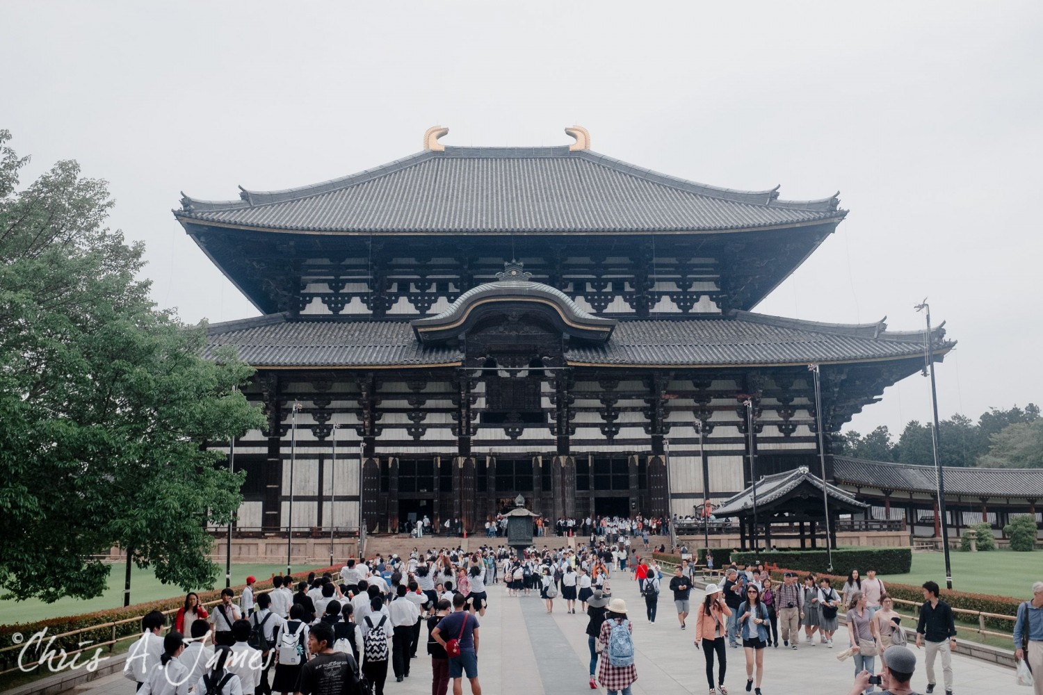 Nara - Chris A James