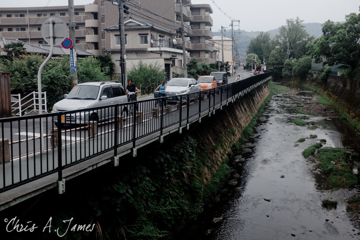 Nara - Chris A James