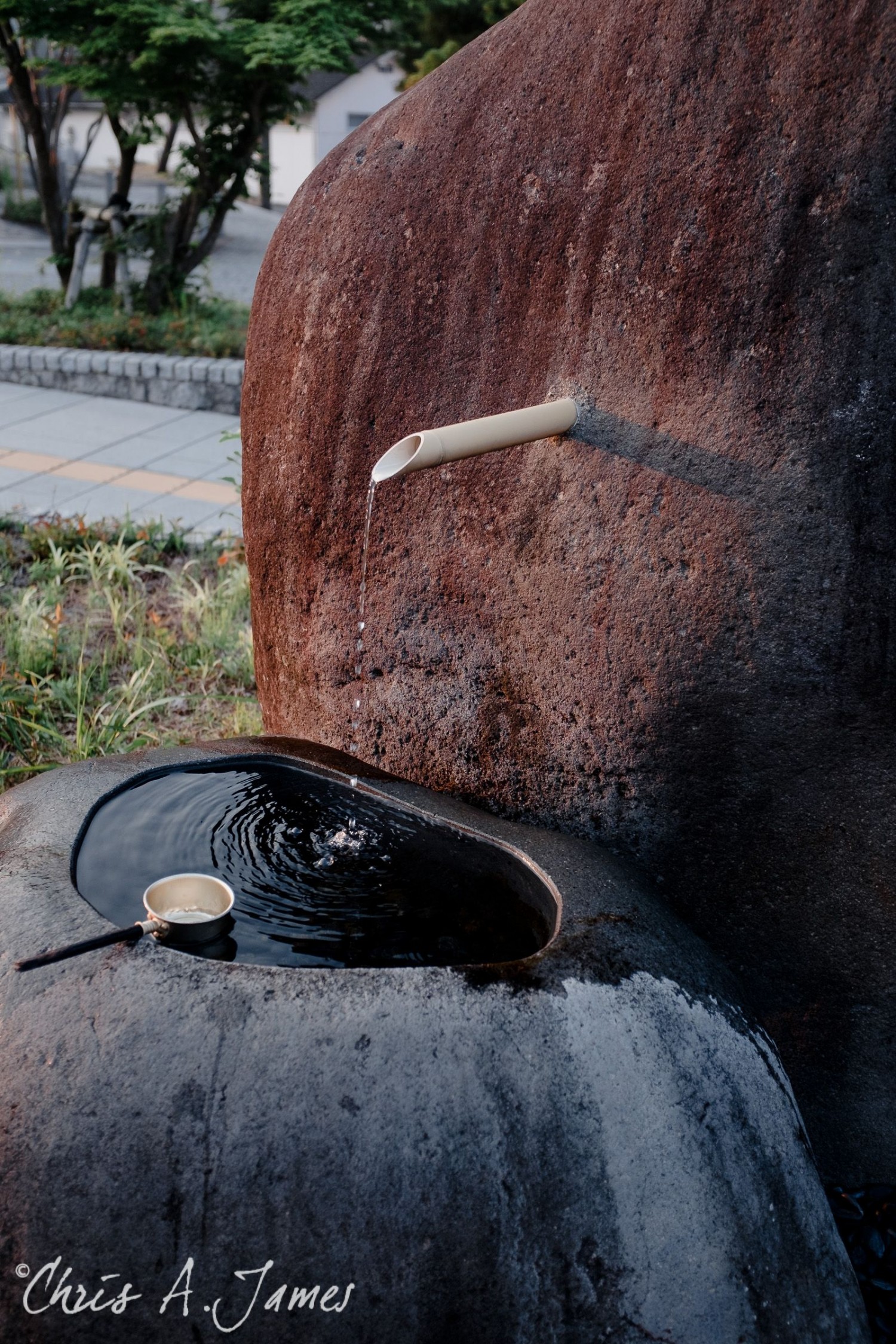 Nikko - Chris A James