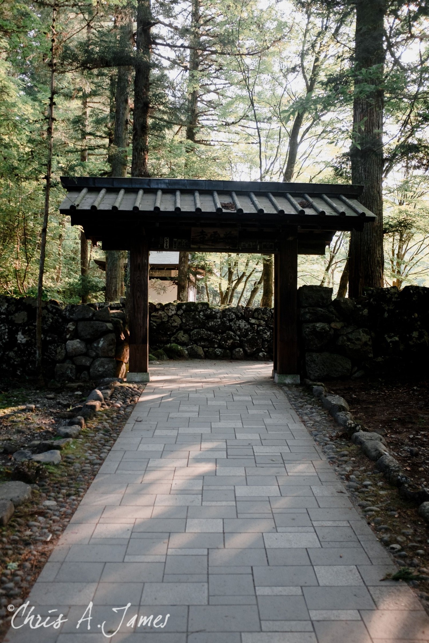 Nikko - Chris A James