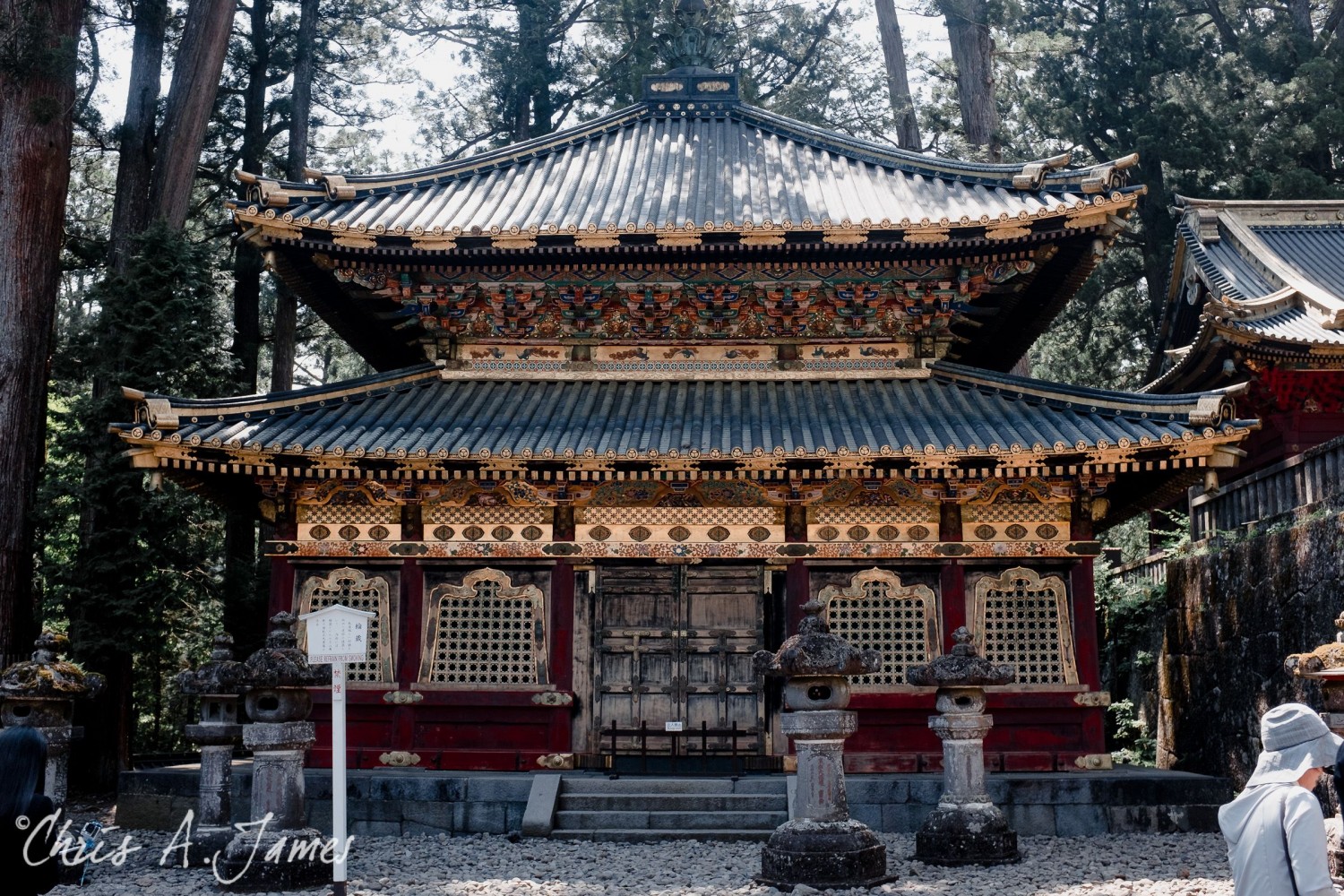 Nikko - Chris A James