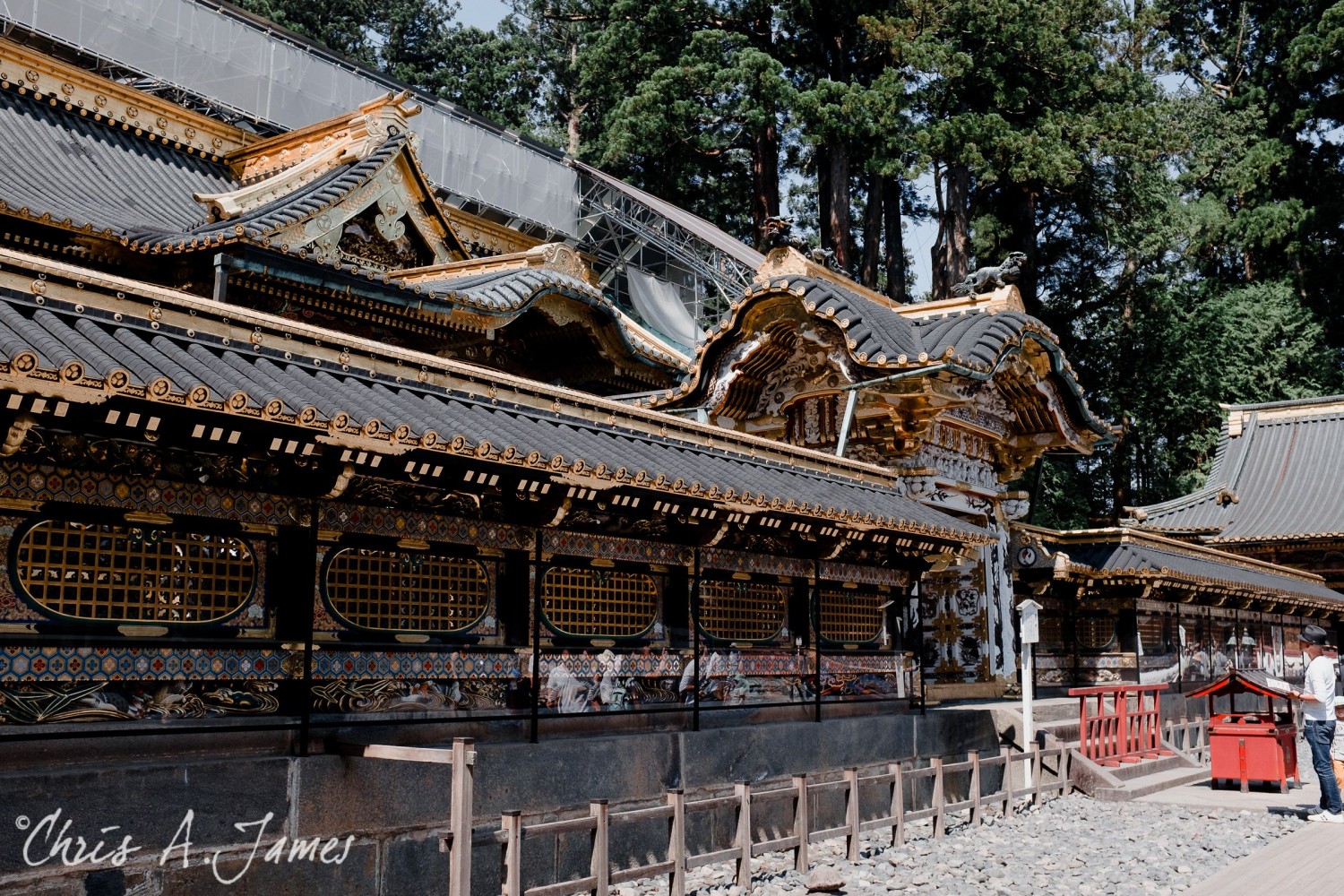 Nikko - Chris A James