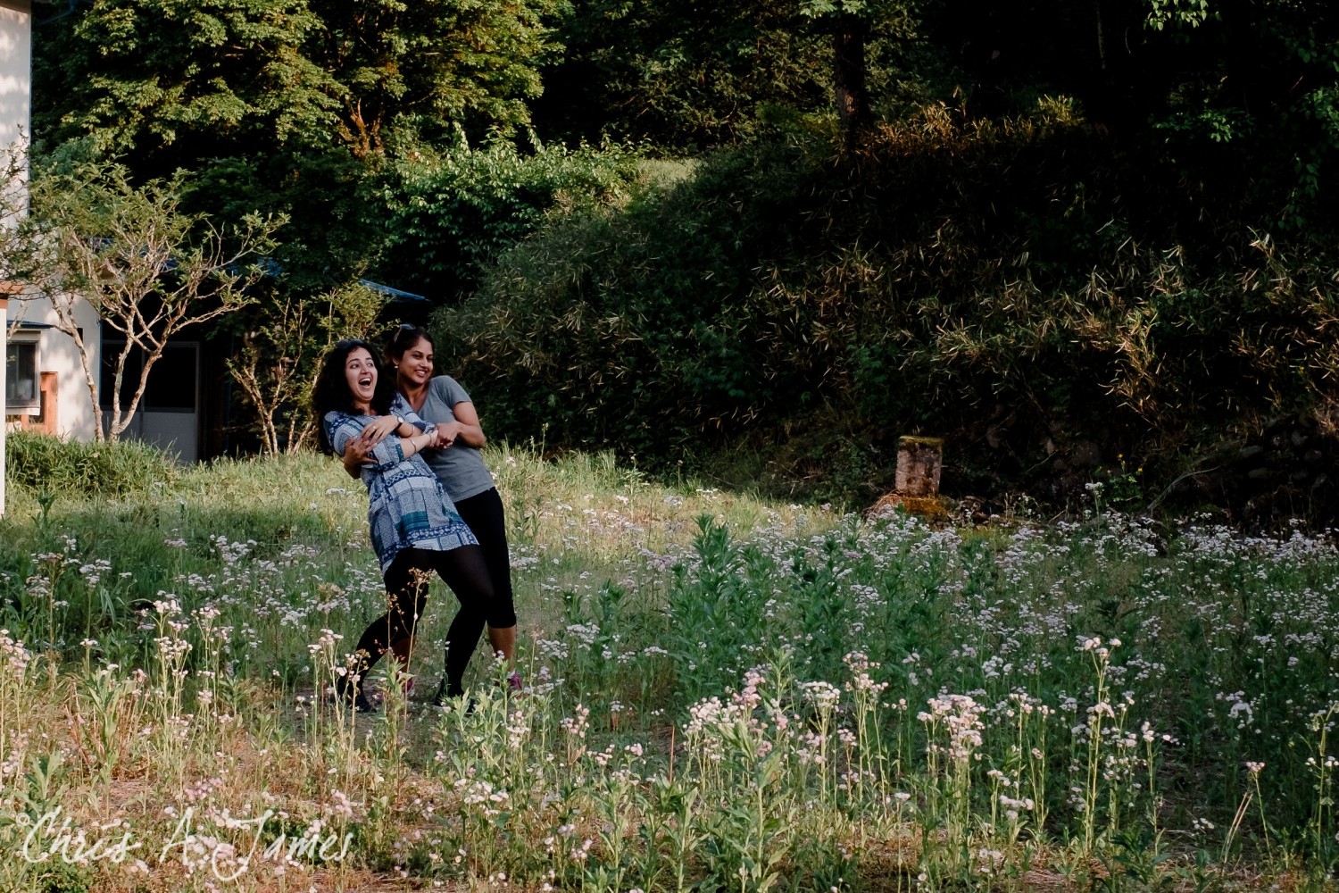 Nikko - Chris A James