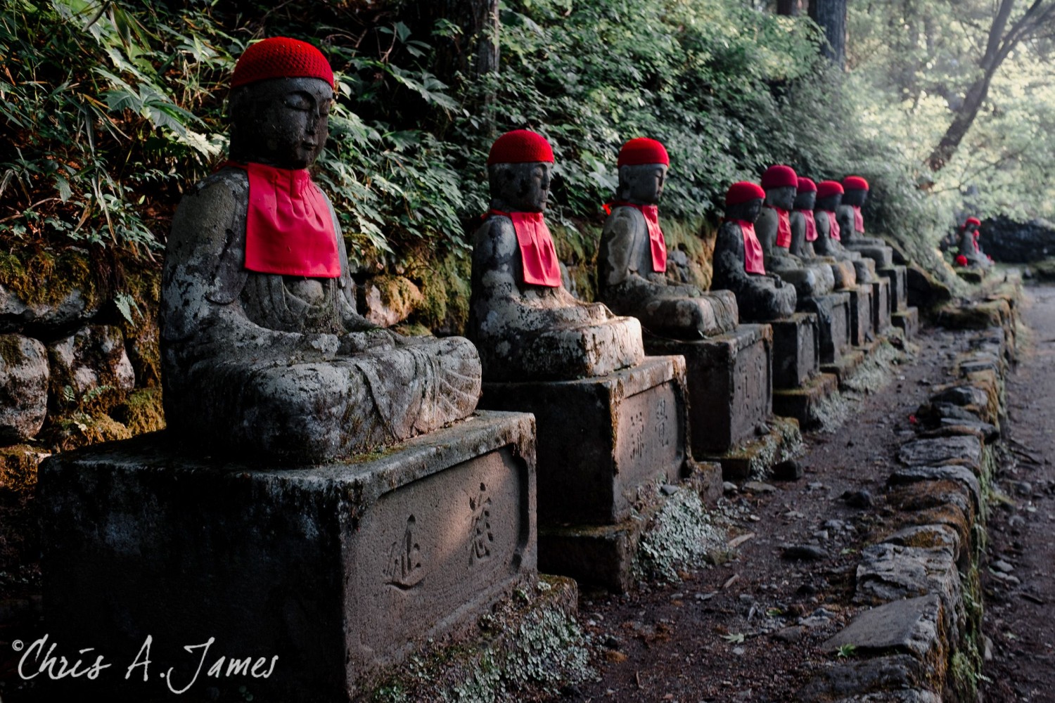 Nikko - Chris A James