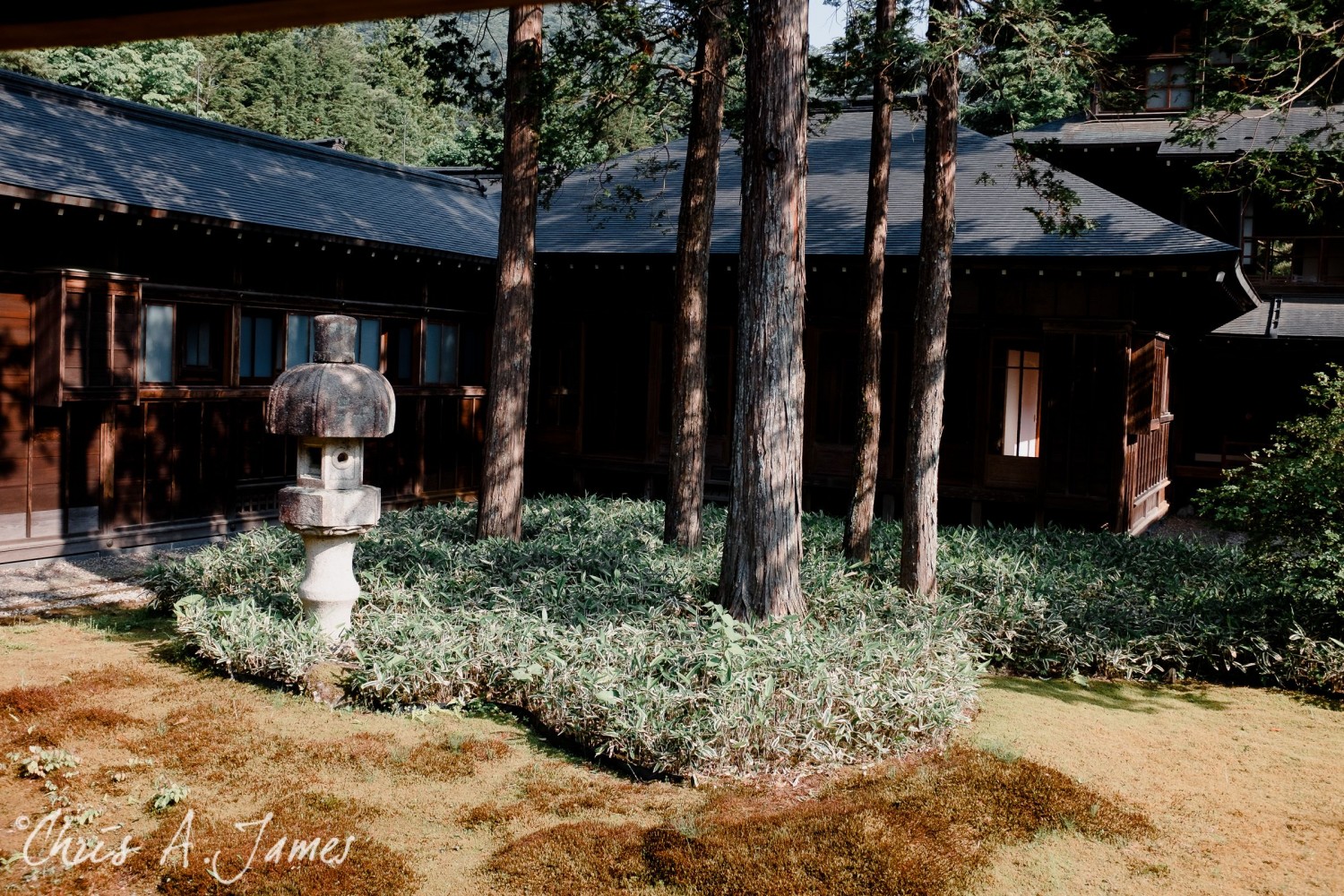 Nikko - Chris A James