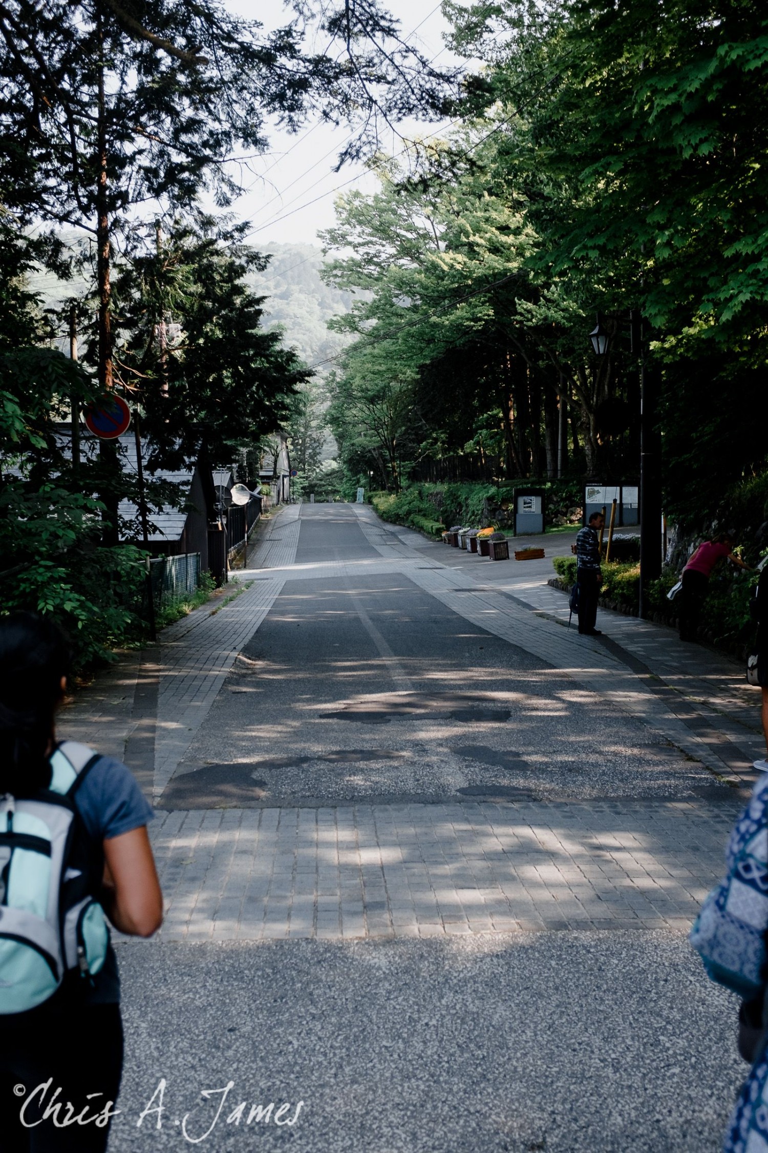 Nikko - Chris A James