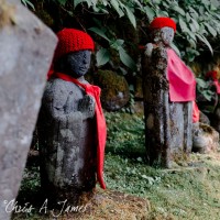 Nikko
