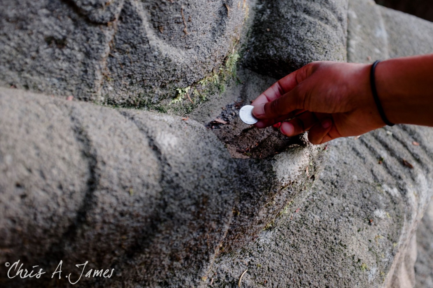 Nikko - Chris A James