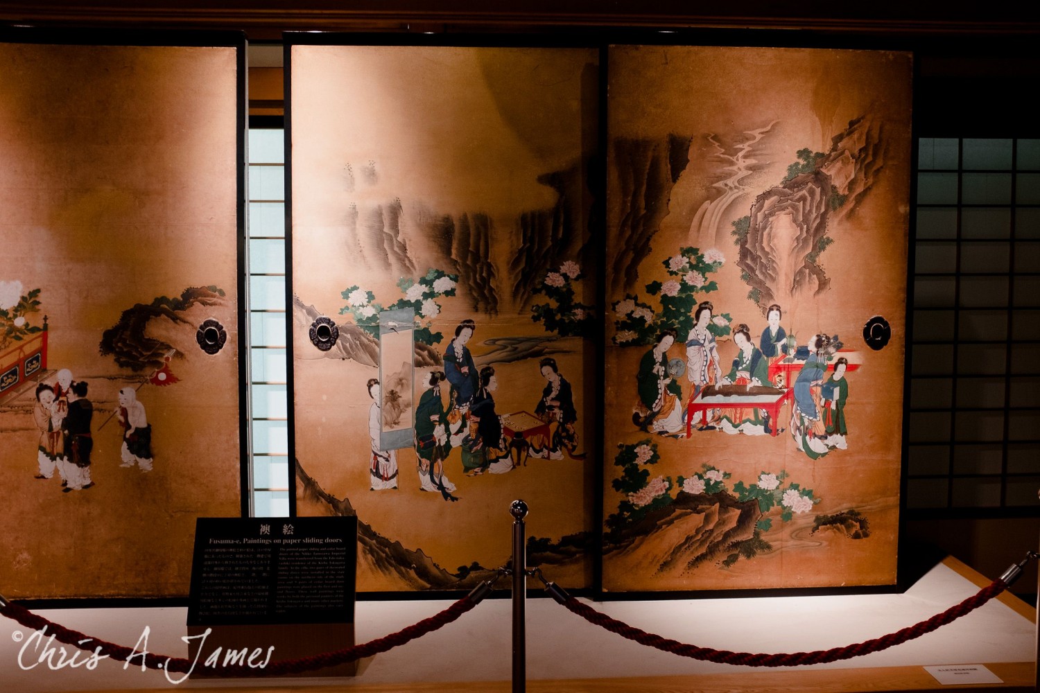 Nikko - Chris A James