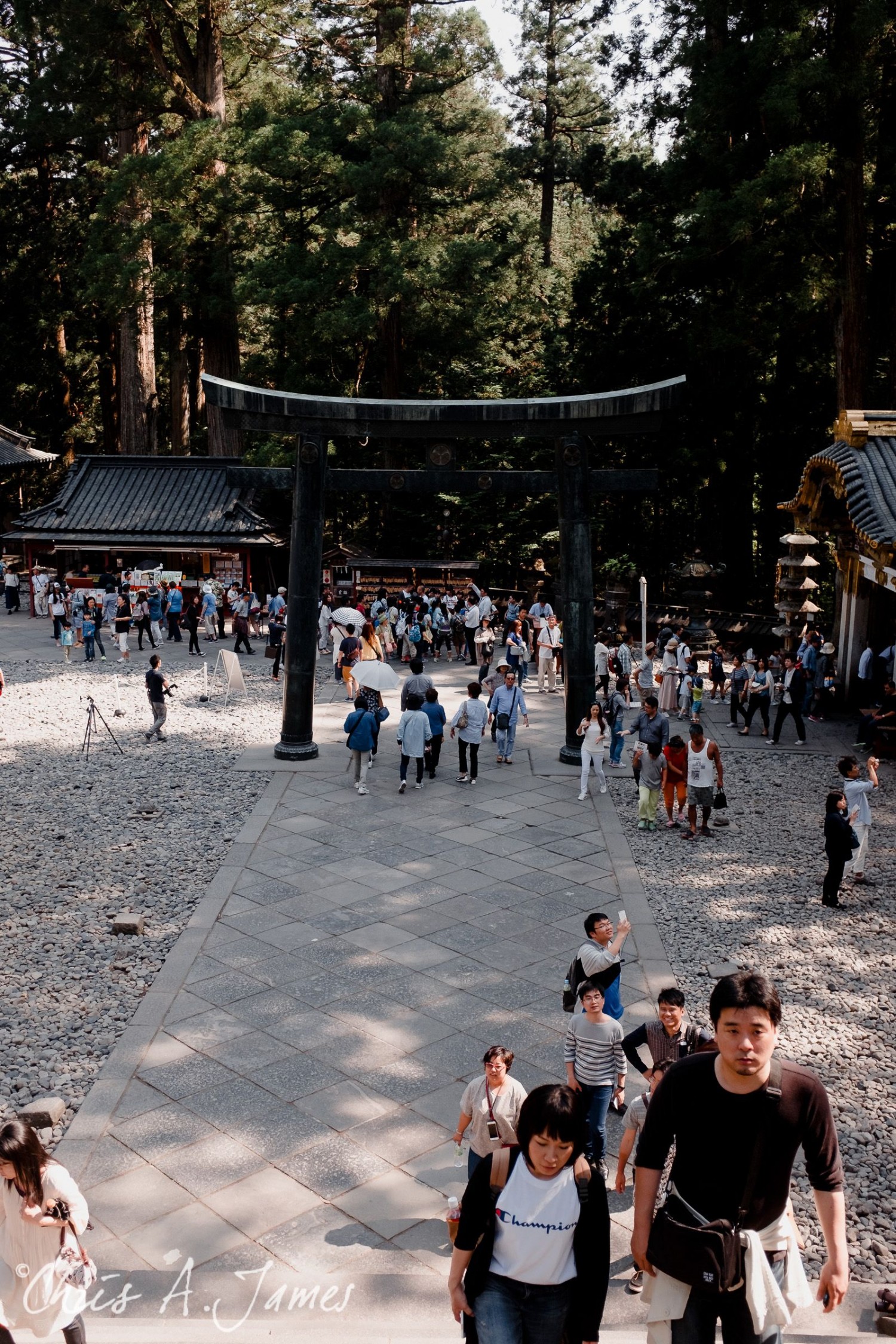 Nikko - Chris A James