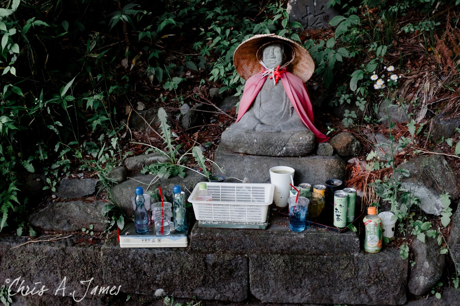 Nikko - Chris A James