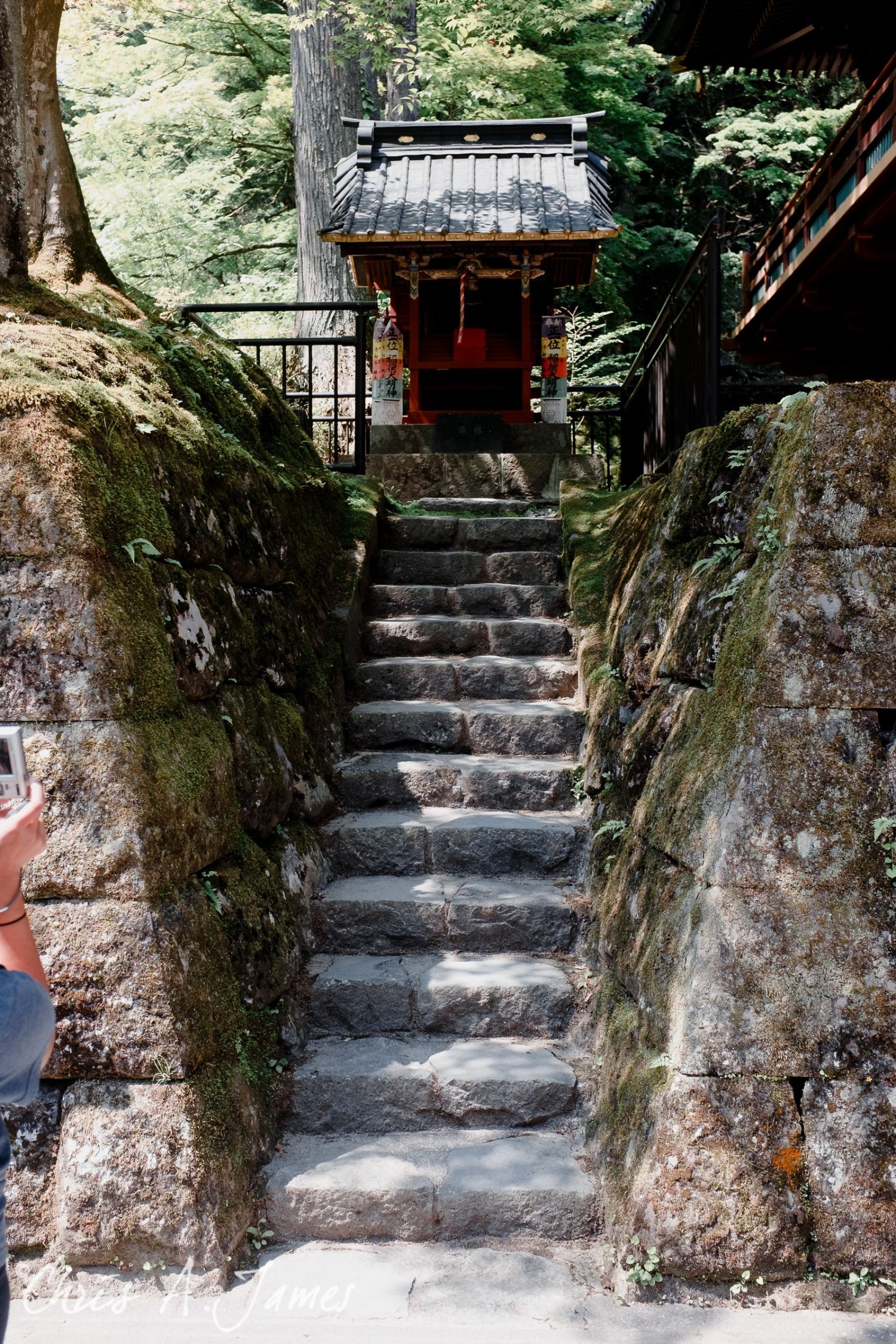 Nikko - Chris A James