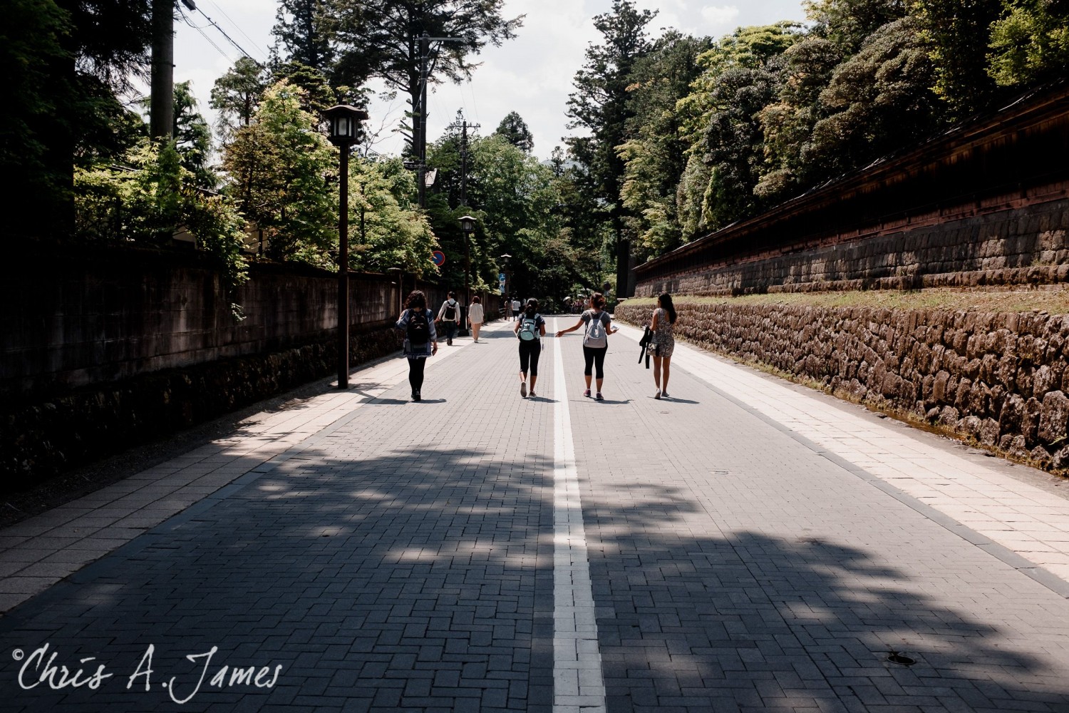 Nikko - Chris A James