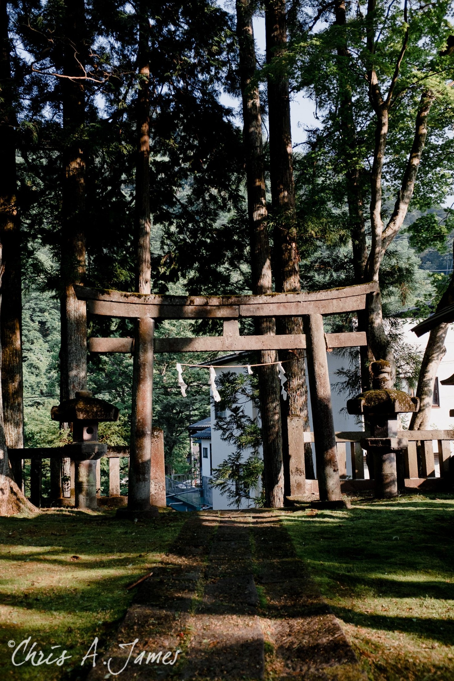 Nikko - Chris A James