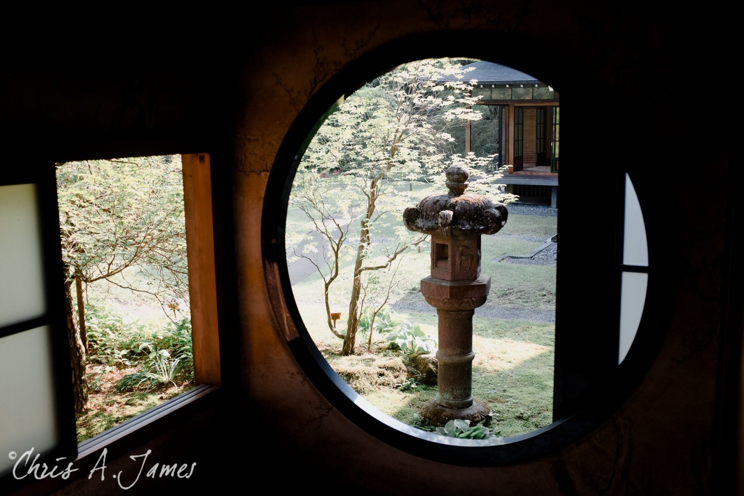 Nikko - Chris A James