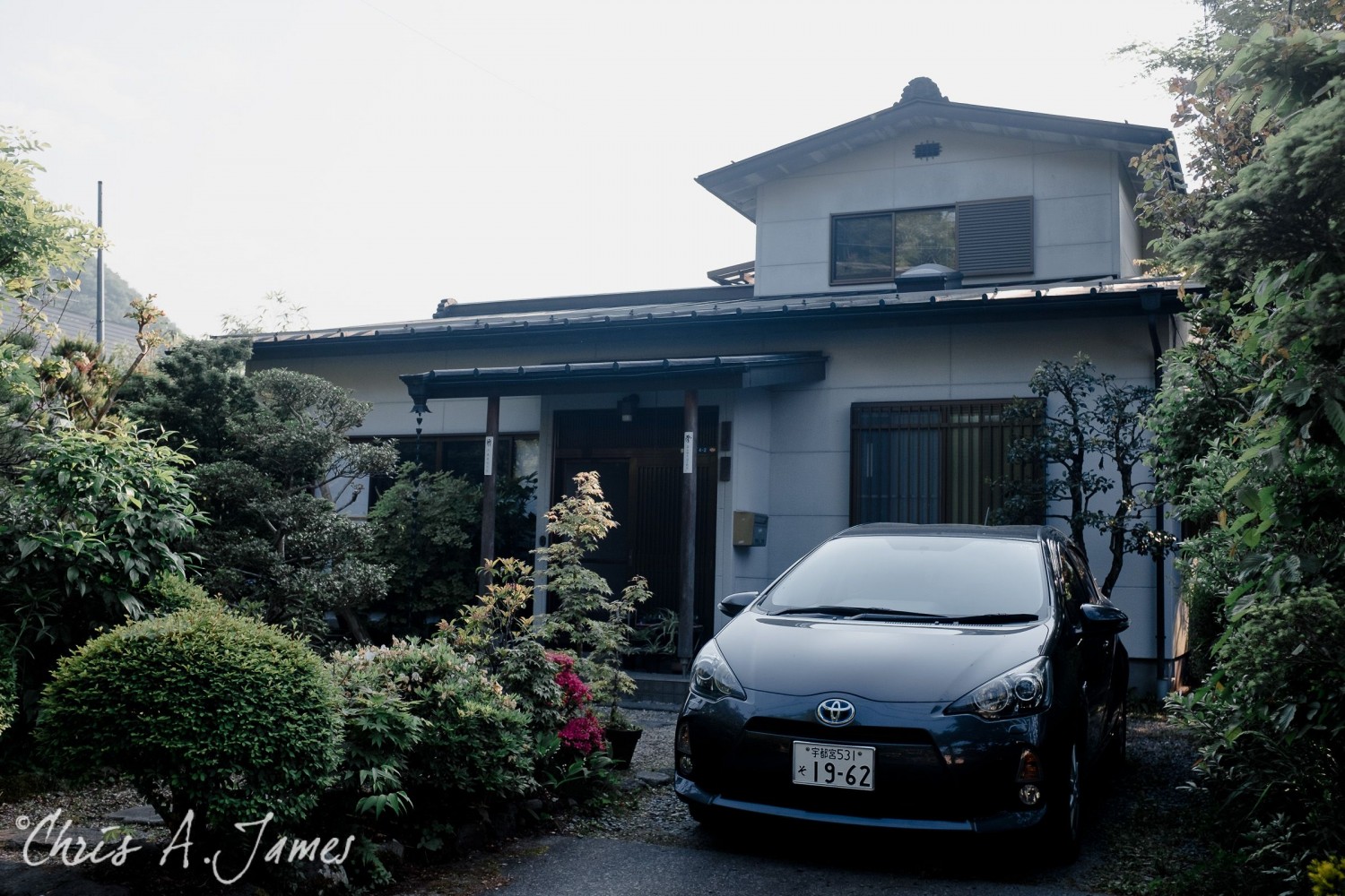 Nikko - Chris A James