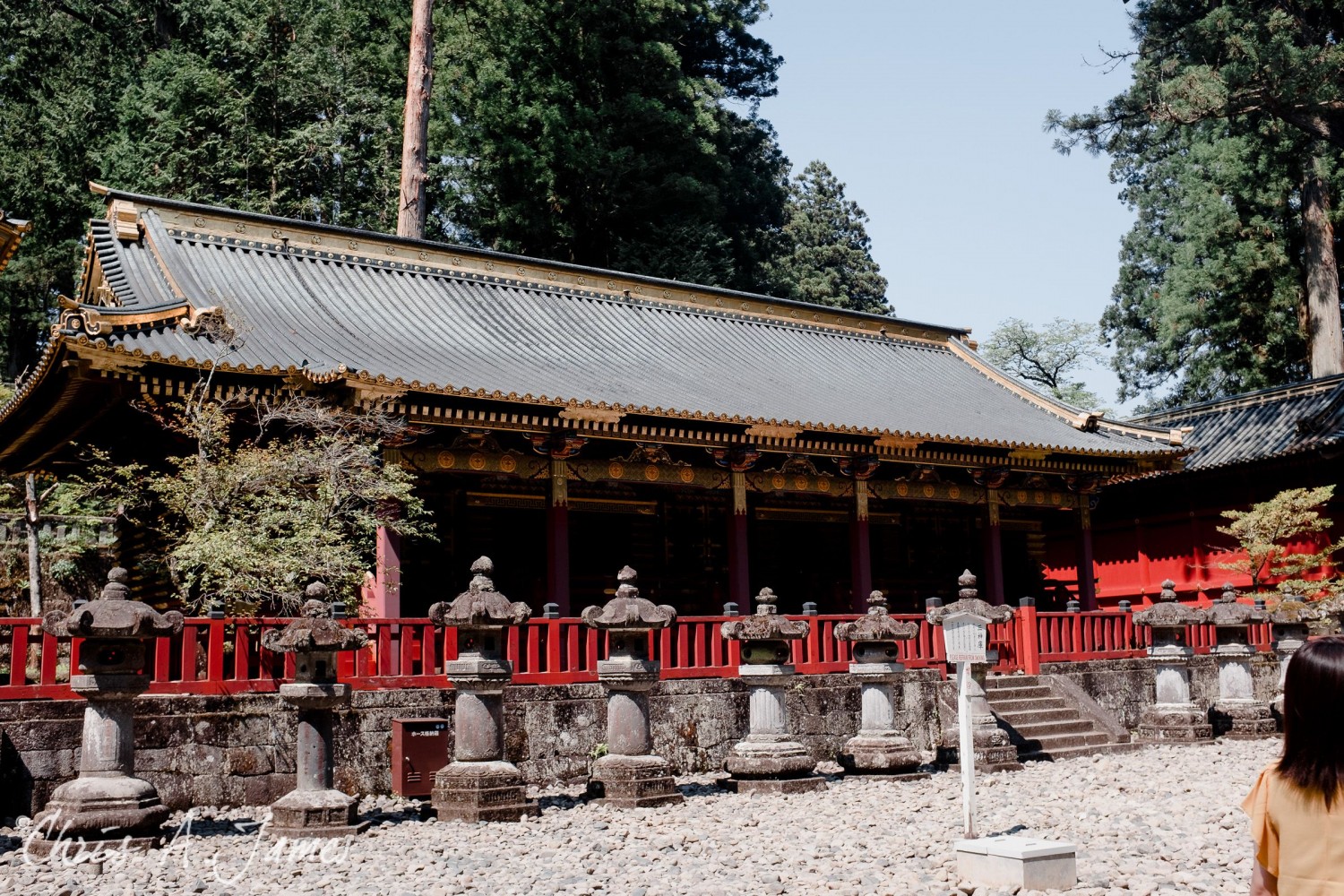 Nikko - Chris A James