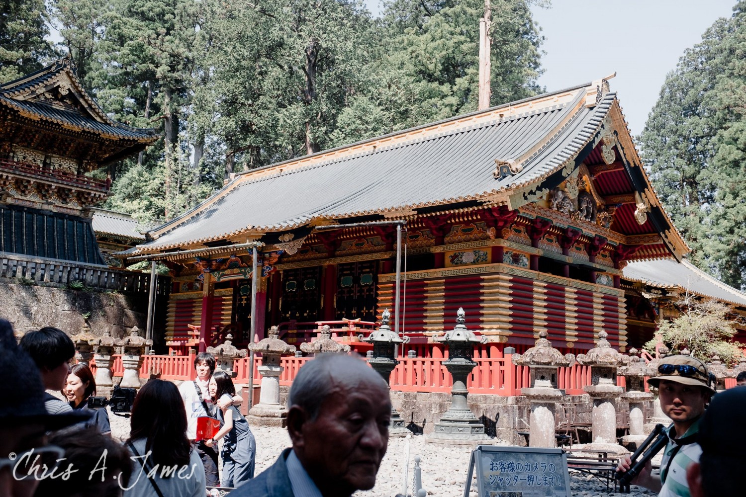 Nikko - Chris A James