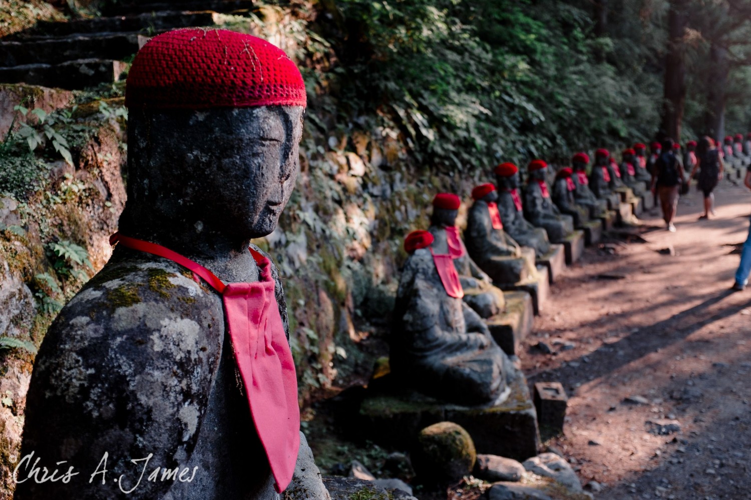 Nikko - Chris A James