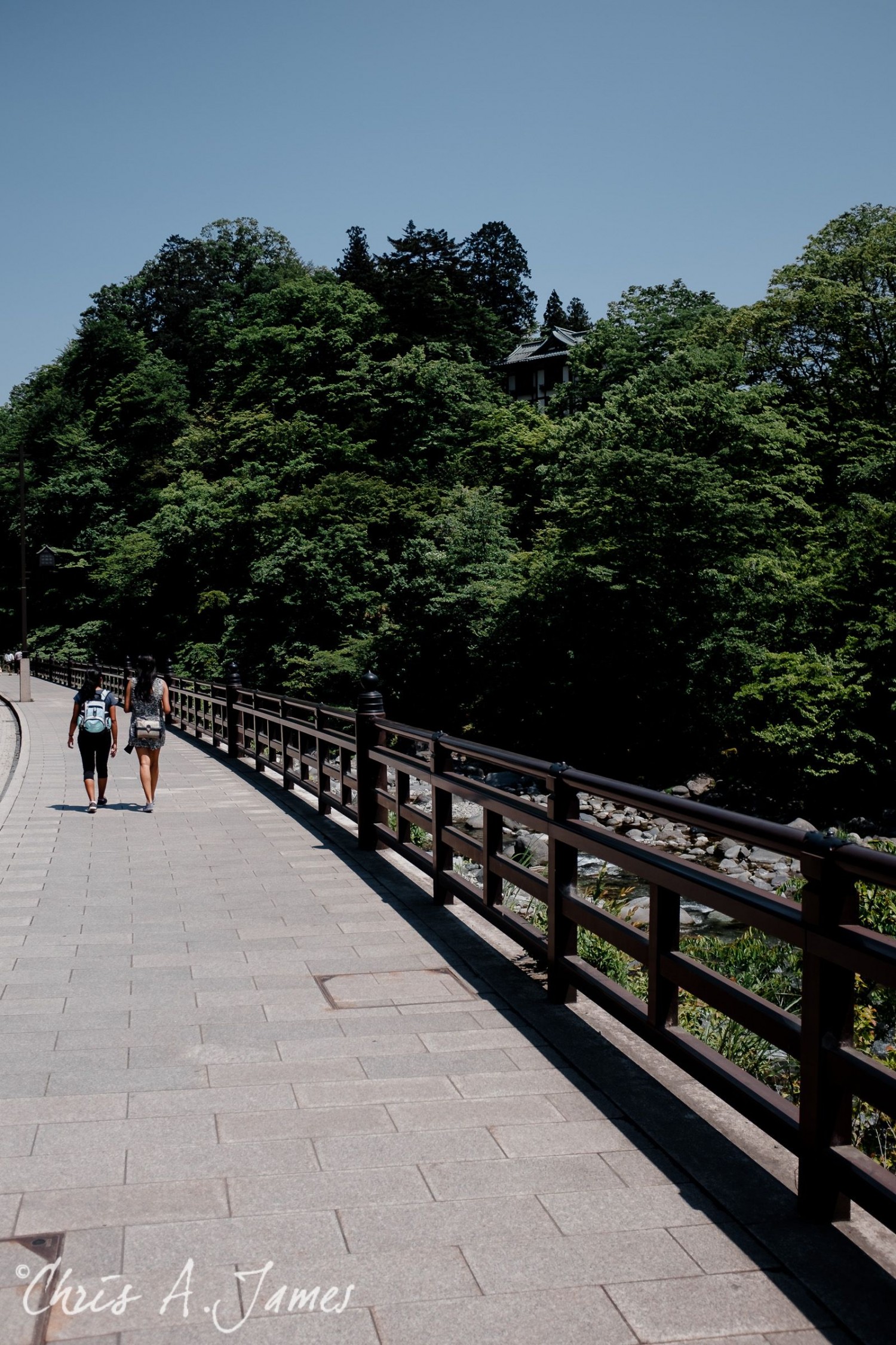 Nikko - Chris A James