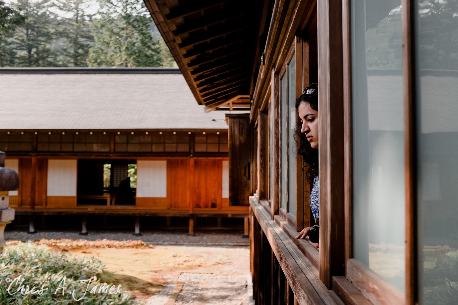 Nikko - Chris A James