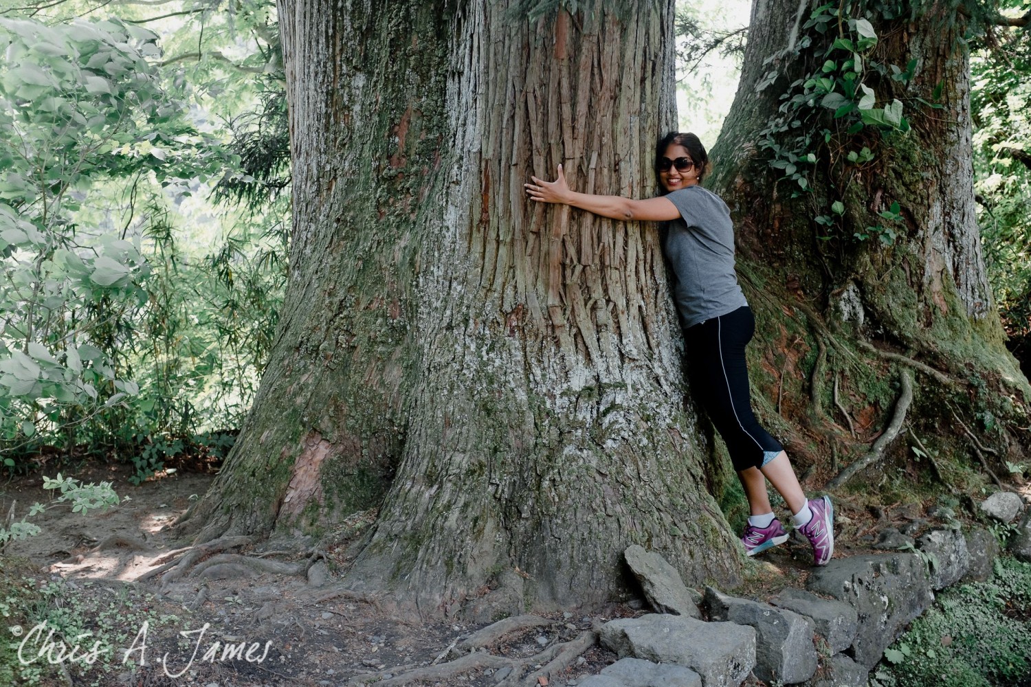 Nikko - Chris A James