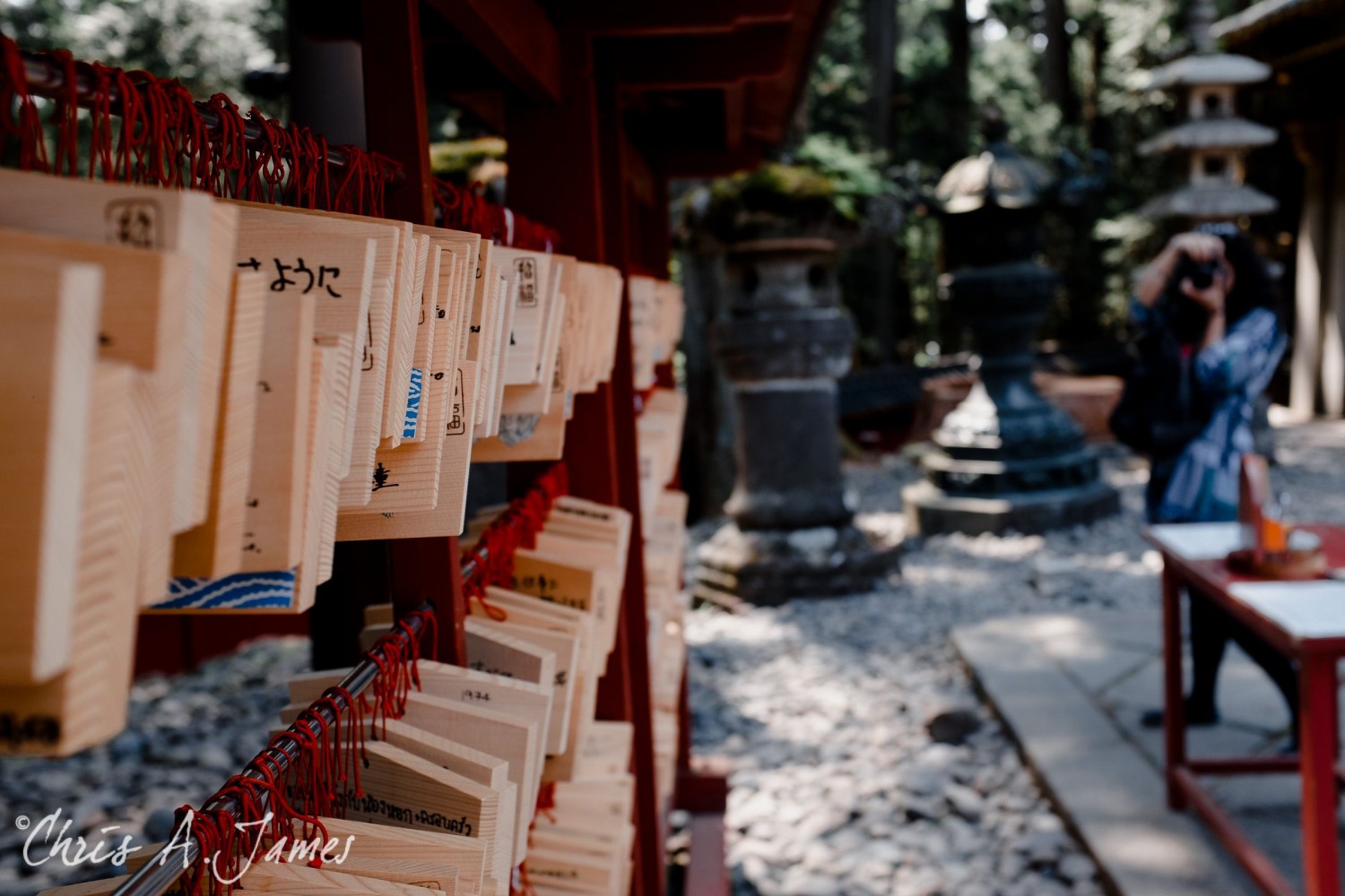 Nikko - Chris A James