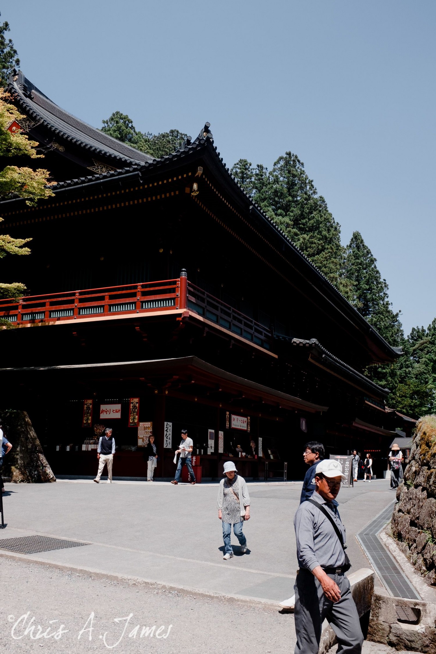 Nikko - Chris A James