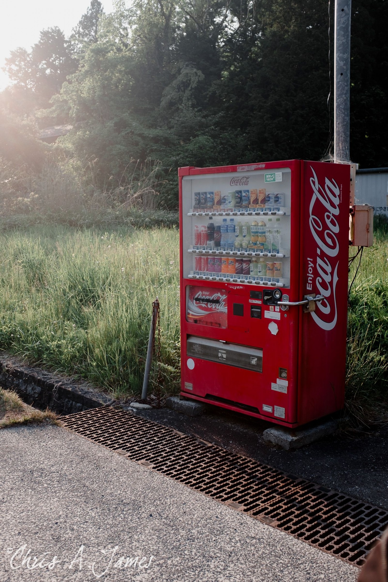 Nikko - Chris A James