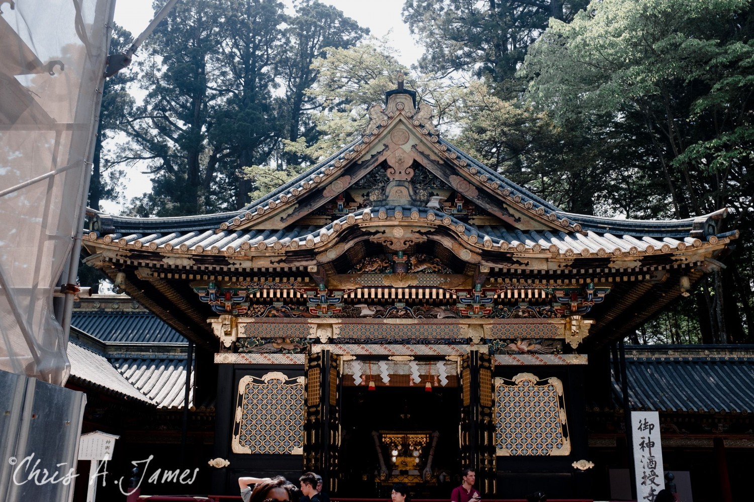 Nikko - Chris A James