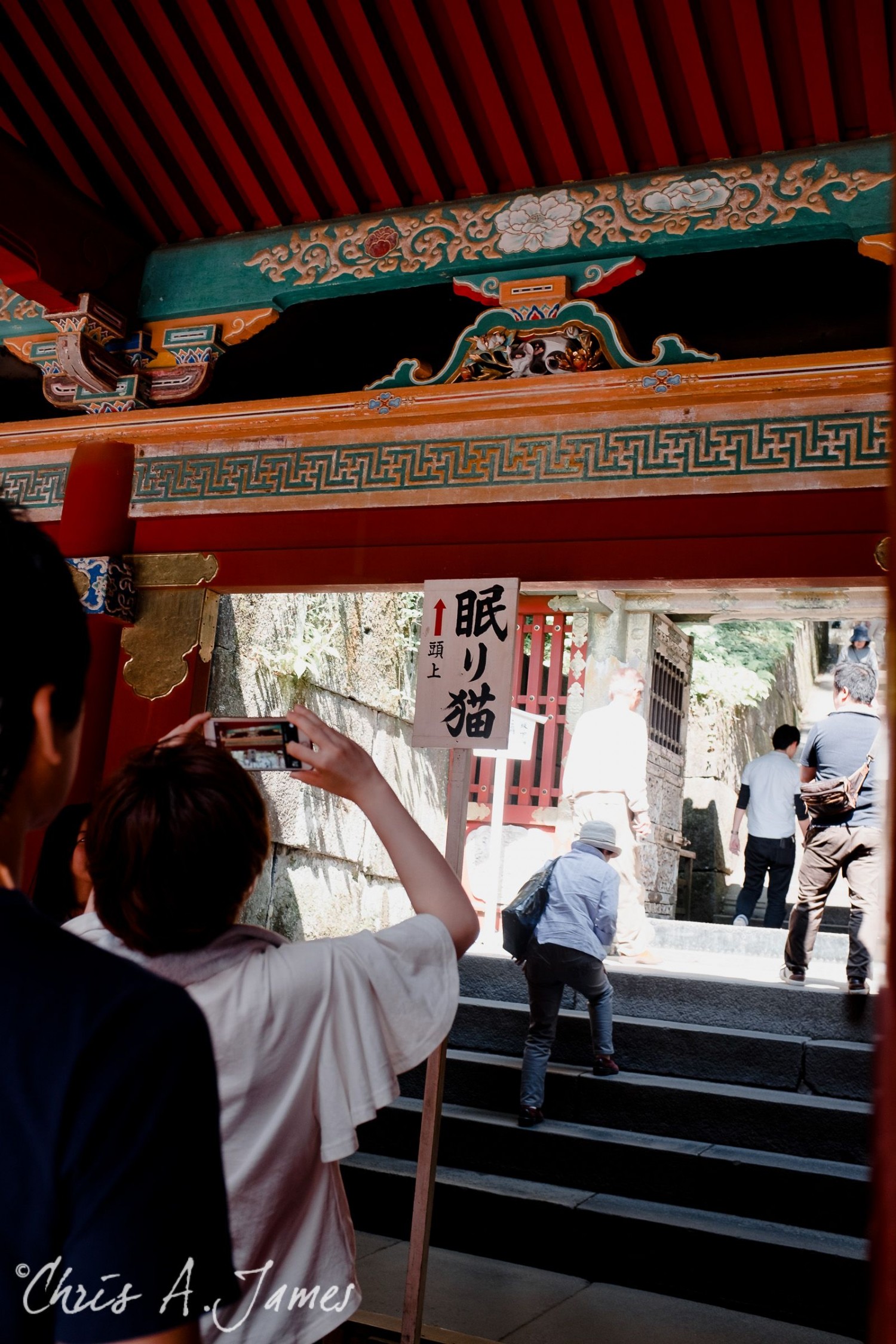 Nikko - Chris A James