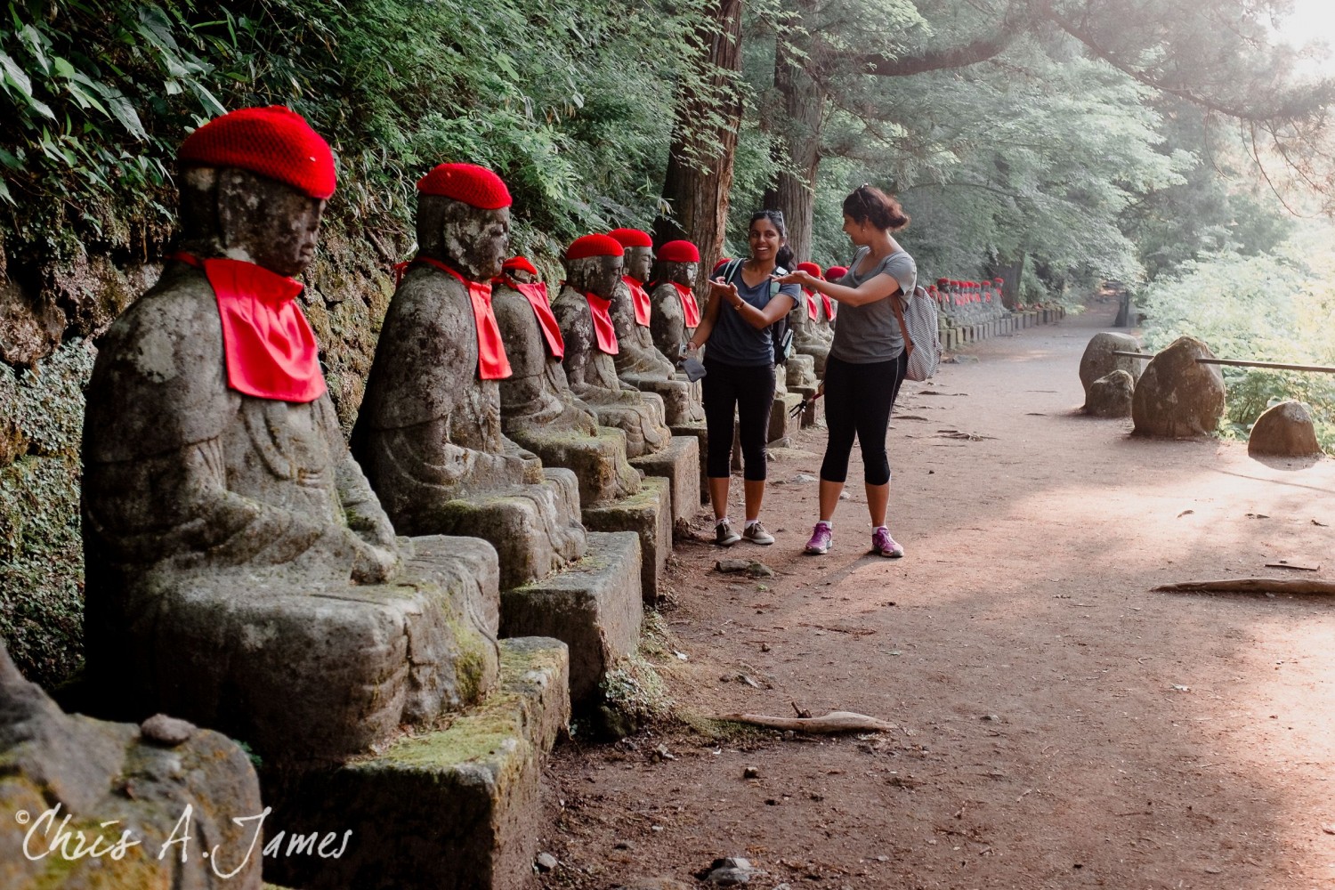 Nikko - Chris A James