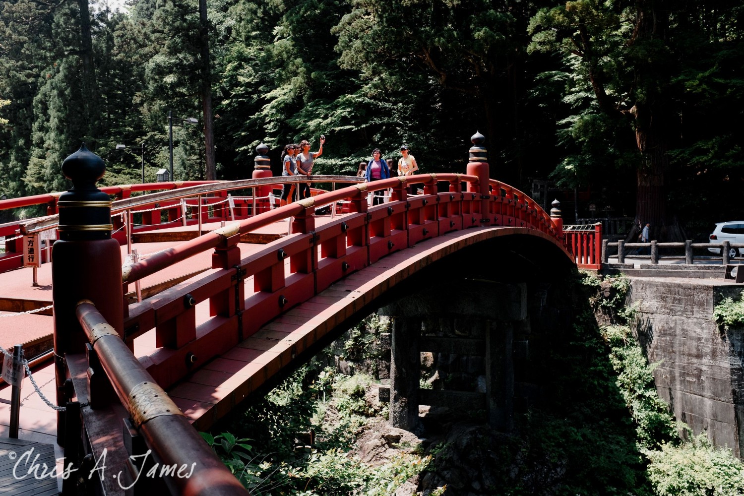 Nikko - Chris A James